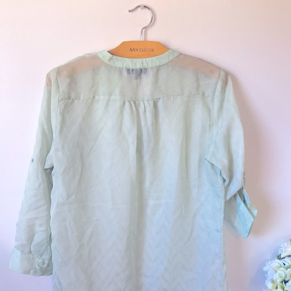The Limited Sheer Pale green blouse - Picture 2 of 3